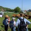 Die Kinder hatten die Möglichkeit, die Tiere des Bauernhofs kennenzulernen.