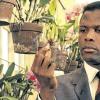 Rassendiskriminierung: Sidney Poitier in „In der Hitze der Nacht“ aus dem Jahre 1967.