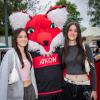 Die Würzburger Kickers gewinnen das letzte Heimspiel am Samstag 18.05.24 gegen die DJK Vilzing souverän mit 4:0 in der AKON Arena in Würzburg. Nach dem Spiel werden sie vom BFV zum Regionalliga Meister 2024 geehrt.