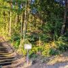 Diese beiden jenseits der Treppe zwischen den Straßen Im Wengert und Am Hofacker unter Bäumen verborgenen Grundstücke der Gemeinde werden zur „Fläche für den Gemeinbedarf“ umgewidmet.