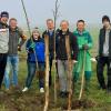 An einem nebligen Novembertag wurden in Höchheim die ersten Solitärbäume gepflanzt.Das Projekt findet  eine beachtliche Resonanz, und mittlerweile stehen knapp 2000 Bäume in nahezu allen Gemeinden des Rhön-Grabfeld-Kreises.