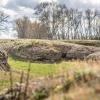 Die Sulzheimer Gipshügel sind eines der Gebiete, deren Pflege der Landschaftspflegeverband Landkreis Schweinfurt übernommen hat. 