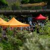 Am Wochenende findet in Würzburg wieder das Fair-liebt-Kunst Festival statt. In der Zellerau wird es wieder unter anderem Hofflohmärkte und einen nachhaltigen Kunst- und Designmarkt geben.