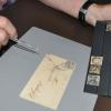 Die Briefmarkensammlung von Peter Darmietzel aus Marktsteinach beinhaltet wertvolle und seltene Stücke. Darunter den legendären Schwarzen Einser, der als erstes Postwertzeichen 1849 herauskam. Der abgebildete Brief trägt sogar einen Schweinfurter Stempel.