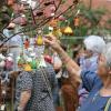 Blumen über Blumen, dazu eine Vielzahl von Ideen für den Garten und kulinarische Genüsse konnten viele Besucher bei der diesjährigen Kunst- und Gartenmesse am Samstag und am Sonntag in Arnstein erleben.