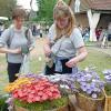 Blumen über Blumen, dazu eine Vielzahl von Ideen für den Garten und kulinarische Genüsse konnten viele Besucher bei der diesjährigen Kunst- und Gartenmesse am Samstag und am Sonntag in Arnstein erleben.