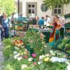 Knackige Salate und Gemüse gab es am Stand der Albertshöferin Marzena Böhm.