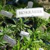 Blumen über Blumen, dazu eine Vielzahl von Ideen für den Garten und kulinarische Genüsse konnten viele Besucher bei der diesjährigen Kunst- und Gartenmesse am Samstag und am Sonntag in Arnstein erleben.