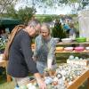 Blumen über Blumen, dazu eine Vielzahl von Ideen für den Garten und kulinarische Genüsse konnten viele Besucher bei der diesjährigen Kunst- und Gartenmesse am Samstag und am Sonntag in Arnstein erleben.