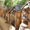 Blumen über Blumen, dazu eine Vielzahl von Ideen für den Garten und kulinarische Genüsse konnten viele Besucher bei der diesjährigen Kunst- und Gartenmesse am Samstag und am Sonntag in Arnstein erleben.