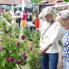 Blumen über Blumen, dazu eine Vielzahl von Ideen für den Garten und kulinarische Genüsse konnten viele Besucher bei der diesjährigen Kunst- und Gartenmesse am Samstag und am Sonntag in Arnstein erleben.