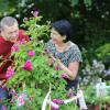 Blumen über Blumen, dazu eine Vielzahl von Ideen für den Garten und kulinarische Genüsse konnten viele Besucher bei der diesjährigen Kunst- und Gartenmesse am Samstag und am Sonntag in Arnstein erleben.
