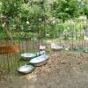 Blumen über Blumen, dazu eine Vielzahl von Ideen für den Garten und kulinarische Genüsse konnten viele Besucher bei der diesjährigen Kunst- und Gartenmesse am Samstag und am Sonntag in Arnstein erleben.