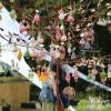 Blumen über Blumen, dazu eine Vielzahl von Ideen für den Garten und kulinarische Genüsse konnten viele Besucher bei der diesjährigen Kunst- und Gartenmesse am Samstag und am Sonntag in Arnstein erleben.