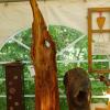 Blumen über Blumen, dazu eine Vielzahl von Ideen für den Garten und kulinarische Genüsse konnten viele Besucher bei der diesjährigen Kunst- und Gartenmesse am Samstag und am Sonntag in Arnstein erleben.