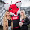 Die Würzburger Kickers gewinnen das letzte Heimspiel am Samstag 18.05.24 gegen die DJK Vilzing souverän mit 4:0 in der AKON Arena in Würzburg. Nach dem Spiel werden sie vom BFV zum Regionalliga Meister 2024 geehrt.