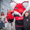 Die Würzburger Kickers gewinnen das letzte Heimspiel am Samstag 18.05.24 gegen die DJK Vilzing souverän mit 4:0 in der AKON Arena in Würzburg. Nach dem Spiel werden sie vom BFV zum Regionalliga Meister 2024 geehrt.