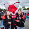 Die Würzburger Kickers gewinnen das letzte Heimspiel am Samstag 18.05.24 gegen die DJK Vilzing souverän mit 4:0 in der AKON Arena in Würzburg. Nach dem Spiel werden sie vom BFV zum Regionalliga Meister 2024 geehrt.