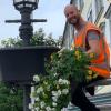 An rund 80 historischen Straßenlaternen werden die Blumenampeln angebracht.