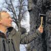 Baumgutachter Rainer Gerber aus Haßfurt (Sailershausen) überprüft Bäume unter anderem auf Krankheiten und Stabilität. Zu seinen „Patienten“ gehören auch zwei großen Linden am Humprechtshäuser Friedhof.