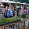 Viel Betrieb herrschte beim Markt Einersheimer Kirschblütenmarkt beim Pflanzenverkauf am Stand der Segnitzer Gärtnerei Seidel.