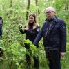 Eine kleine Mehlbeere mit den typischen silbrigen Blattunterseiten entdeckten im Wasserlöser Gemeindewald (von links) Schweinfurts staatlicher Forstamtsleiter Stephan Thierfelder, Revierförsterin Selina Schott und Bürgermeister Anton Gößmann.