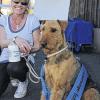 „Whoopie von Riesenhof“: Der Airedale-Terrier von Katharina Herz aus Trennfeld wurde „Prinzessin von Bayern“.