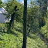 Im Wehrbach in Iphofen hat ein Passant am Montagmorgen eine tote Frau gefunden. Polizei und Feuerwehr sperrten den Bereich ab.