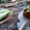 Veranstaltung bei den Naturfreunden Veranstaltung bei den Naturfreunden