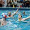 Mate Valo (links) vom SV Würzburg 05 führt den Ball gegen die Defensive vom SVV Plauen. Das Rückspiel im Wolfgang-Adami-Bad verloren die Würzburger mit 11:14 gegen die Wasserballer aus Plauen.