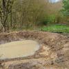 Die geländeangepasste Form und verschiedenartige Randgestaltung der Becken bieten unterschiedliche Lebensräume an, die neben Fröschen, Kröten und Lurchen auch vielen Insekten- und Vogelarten zugutekommen.