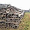 Aufgeräumt: Fast völlig in Ordnung sind Grill- und Holzplatz an der Wengert nach einem entsprechenden Appell bei der Bürgerversammlung. Das Freizeitgelände ist hergerichtet, das Brennholz ist bis auf kleine Restzonen sauber aufgesetzt.