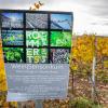 Eine Werbetafel des Weinguts Römmert aus Volkach hängt vor einem Weinberg beim Volkacher terroir f. 