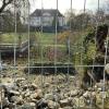 Über eine Böschung am Rande des Schlossgeländes liegen Überreste der Mauer verteilt. Diese müsste eigentlich dringend saniert werden, fordert die Gemeinde Gelchsheim.