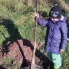 Die Streuobst-Aktion der Gemeinde Bischbrunn  kommt auch bei den ganz jungen gut an: der fünfjährige Jonas hat das Pflanzloch mitgegraben und kann nun mit Stolz  "seinen" Baum selbst setzen.