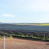 Ende September ist in Bundorf Bayerns größter Solarpark mit Bürgerbeteiligung (Archivbild) eingeweiht worden. Ein Teil des Solarparks sorgt nun auch für die Wärmeversorgung per Fernwärmenetz.