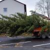 Die Rotfichte wurde in einem Garten in der Martin-Luther-Straße gefällt und von dort auf einem Lastwagen mit Kran vom Kreisbauhof vorsichtig zum Gerolzhöfer Marktplatz transportiert. 