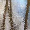Stämme kopfüber im Wasser - einem Gemälde gleich. Stämme kopfüber im Wasser - einem Gemälde gleich.