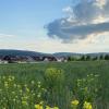 Die Erschließung beginnt bald: Im Baugebiet Burgstraße in Ostheim entstehen 25 neue Bauplätze. Hohe Baukosten verderben Bauwilligen aber momentan die Lust aufs Eigenheim.