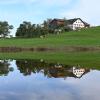 Morgenstimmung am See. Morgenstimmung am See.