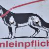 Appell an die Hundehalter, ihre Vierbeiner anzuleinen (Symbolbild).
