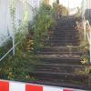 Die Sanierung einiger Straße im Gebiet "Neuer Berg" in Kürnach ist dringend notwendig, wie der Blick auf den Zustand der Straße "Am Sonnenberg" zeigt. Diese gesperrte Treppe als Verbindung zur Straße "An den Hecken" wird gefühlt nur durch den Wildwuchs zusammengehalten. Die Sanierung einiger Straße im Gebiet "Neuer Berg" in Kürnach ist dringend notwendig, wie der Blick auf den Zustand der Straße "Am Sonnenberg" zeigt. Diese gesperrte Treppe als Verbindung zur Straße "An den Hecken" wird gefühlt nur durch den Wildwuchs zusammengehalten.