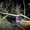 Der Baum auf dem Auto fiel während der Erkundungsphase der Feuerwehr um. Der umgestürzte Baum rechts neben und vor dem Auto war derjenige, der den Einsatz der Feuerwehr ausgelöst hatte.