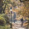 Herbstspaziergang im Würzburger Ringpark, wo Mitte September eine Buche umgestürzt ist und eine Frau tödlich verletzt hat.