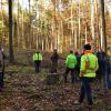 Diese Schadfläche im Rodener Gemeindewald soll neu bepflanzt und anschließend eingezäunt werden, erfuhren die Gemeinderatsmitglieder bei einem Waldbegang.