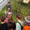 Die Vorschulkinder bei den Marktgärtnern Mattis in Waldzell.