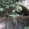 Eingang zum Winterquartier im Burkarder Schleusentunnel.