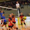 Trotz vieler guter Aktionen mussten sich die Volleyballerinnen des TV/DJK Hammelburg (blaue Trikots) im Heimspiel gegen den TSV Ansbach mit 0:3 geschlagen geben.