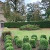 Auf der Fläche hinter den Buchsbüschen soll im Saaler Friedhof am Findelberg 
 ein weiteres Urnenfeld entstehen.