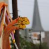 Glasfaserleitungen in  Hofstetten.